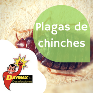Tratamientos para eliminar chinches de la cama en Soria