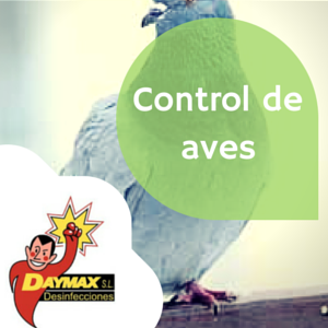 Tratamiento para ahuyentar palomas y pájaros en Soria
