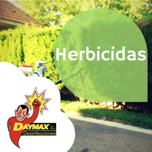 Tratamientos herbicidas y malas hierbas en Lleida