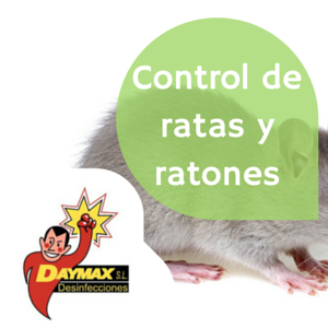 Tratamientos eliminar ratas y ratones en Soria