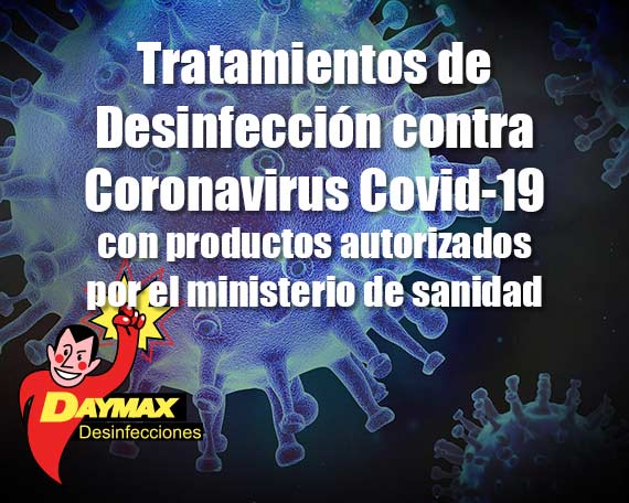 Tratamientos contra la carcoma