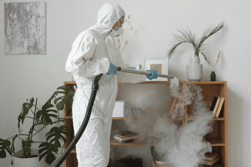 como_elegir_empresa_de_fumigacion