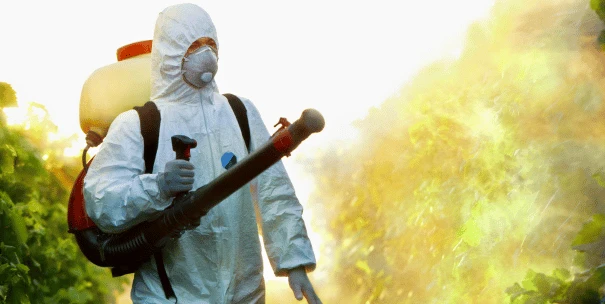 prevenir-plagas-en-casa-y-negocios